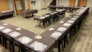 BRIT HOTEL  ARGENTAN